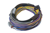 Elite 550 + Basic Universal Wire-in Harness Kit Length: 2.5m (8')